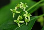 2011_05_21__8794.jpg