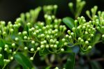 2011_05_21__8797.jpg