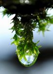 2011_05_21__90320.jpg