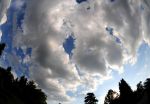 2011_05_21__9195.jpg