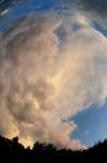 2011_05_21__9839.jpg