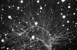 2011_12_20__037900.jpg