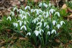2012_03_02__08607.jpg