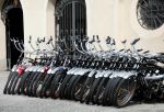2012_03_31__02656.jpg