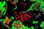 2012_05_29__09002.jpg