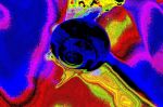 2012_05_29__09576.jpg
