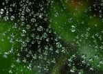 2012_09_02_03399.jpg