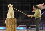 2013_03_19_09136.jpg