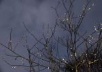 2014_01_03_00562.jpg