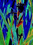 2014_06_11_1030807.jpg