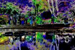 2016_05_21_02046.jpg
