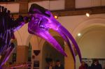 Dateiname=2016_10_15_003154.jpg
Dateigröße=94KB
Abmessungen: 800x533
hinzugefügt am: %20. %156 %2021 2016_10_15_003154.jpg