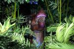 Filename=2018_04_03_008856.jpg
Filesize=130KiB
Dimensions=800x533
Date added=Apr 04, 2018 2018_04_03_008856.jpg