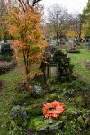 Filename=2018_11_02__3339.jpg
Filesize=351KiB
Dimensions=800x1200
Date added=Nov 06, 2018 2018_11_02__3339.jpg