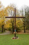 Filename=2018_11_02__3355.jpg
Filesize=337KiB
Dimensions=800x1228
Date added=Nov 06, 2018 2018_11_02__3355.jpg