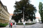 Dateiname=2019_07_27_0426.jpg
Dateigröße=262KB
Abmessungen: 1219x800
hinzugefügt am: %27. %101 %2020 2019_07_27_0426.jpg