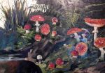 2019_07_27_0652.jpg