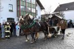 Dateiname=2019_12_26_8053.jpg
Dateigröße=219KB
Abmessungen: 1202x800
hinzugefügt am: %01. %887 %2020 2019_12_26_8053.jpg