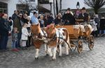 Dateiname=2019_12_26_8057.jpg
Dateigröße=236KB
Abmessungen: 1218x800
hinzugefügt am: %01. %887 %2020 2019_12_26_8057.jpg