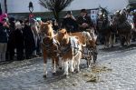 Dateiname=2019_12_26_8152.jpg
Dateigröße=244KB
Abmessungen: 1205x800
hinzugefügt am: %01. %887 %2020 2019_12_26_8152.jpg
