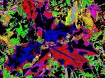 2020_07_060087.jpg