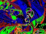 2020_07_070084.jpg