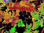 2020_07_070094.jpg