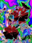 2020_07_090017.jpg