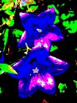2020_08_28_0086.jpg
