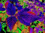 2020_09_22_0098.jpg