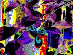 2020_09_22_0099.jpg