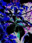 2020_09_22_0166.jpg