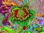2020_10_01_0023.jpg