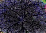 2020_10_08_0419.jpg