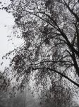 Dateiname=2020_12_16_0017.jpg
Dateigröße=214KB
Abmessungen: 600x800
hinzugefügt am: %24. %758 %2021 2020_12_16_0017.jpg
