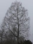 Dateiname=2020_12_16_0045.jpg
Dateigröße=125KB
Abmessungen: 600x800
hinzugefügt am: %24. %758 %2021 2020_12_16_0045.jpg