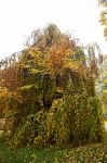 2021_11_01_1307.jpg