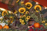 Filename=2022_09_21_7542.jpg
Filesize=133KiB
Dimensions=800x533
Date added=Sep 23, 2022 2022_09_21_7542.jpg