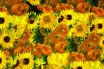 2025_10_14_00008043.jpg