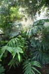 2026_06_25_00000105.jpg