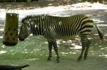 2026_06_25_00000986~1.jpg