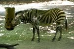 2026_06_25_00000988~1.jpg