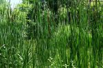 2026_06_25_00001390~0.jpg