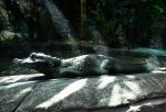2026_06_25_00001456~1.jpg