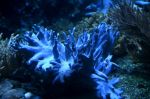 2026_06_25_00001984~1.jpg