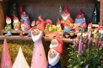 2026_07_28_00000775.jpg