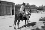 Reiter_in_Herat_Afghanistan0.jpg